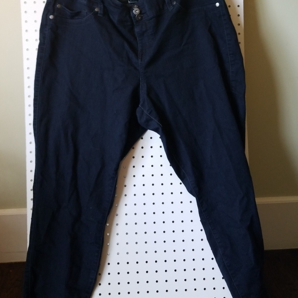 Torrid Denim Jeggings